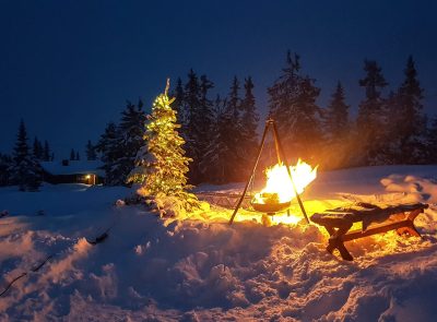 trees-snow-covered-field-against-sky-night